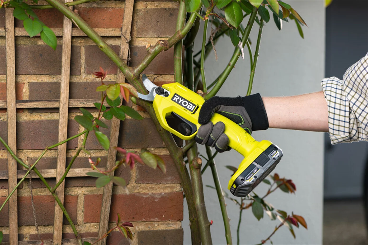 Sekator Ryobi ONE+ RY18SCA-0 - obrazek 6